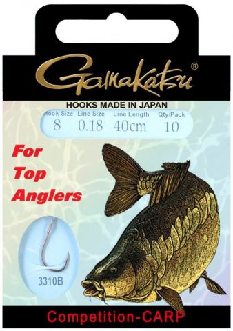 _ftp_1_140205-carp-ls3310_1-4.jpg