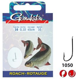 _ftp_1_140113-roach-ls1050_1-2.jpg