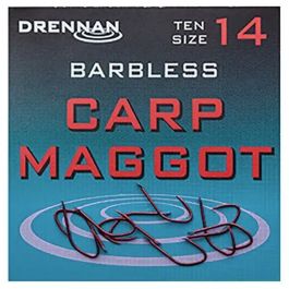 carp-maggot-b.jpeg