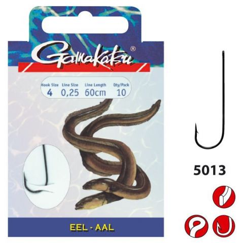 _ftp_1_140117-eel-ls5013_1-1.jpg