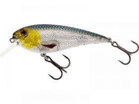 p048-449-005_large.jpeg