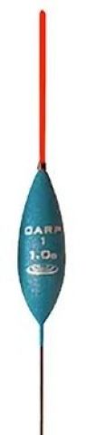 carp1-1g.jpeg