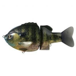 real-blue-gill-z-5218-521897.jpeg