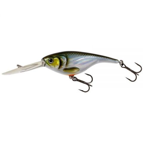 blue-back-herring-z-4380-438009.jpeg