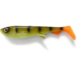 pickleback-perch-z-5931-593139.jpeg