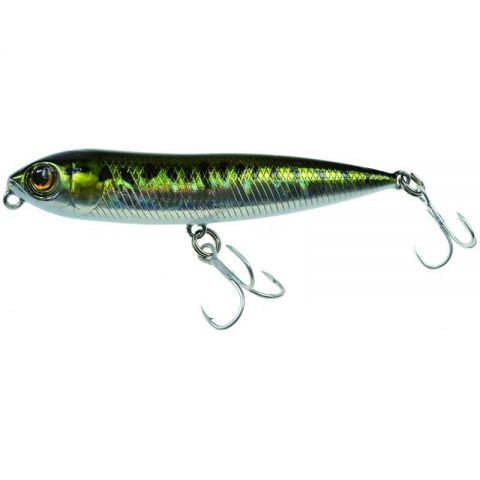 baby-bass-z-573-57313.jpeg