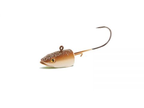 eel-head-natural.jpg